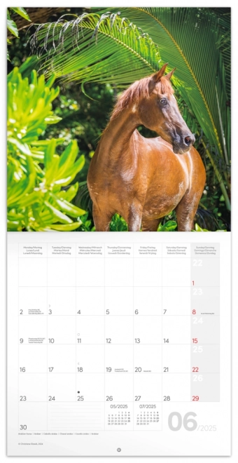 NOTIQUE Kalendar s bilješkama Konji – Christiane Slawik 2025, 30 x 30 cm