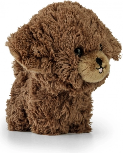 Šarmantni detalji za živ izraz