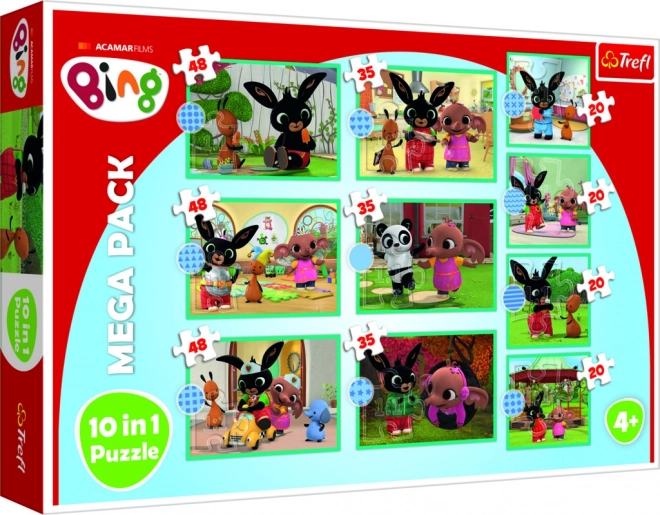 Mega Set Puzzle Bing 10v1