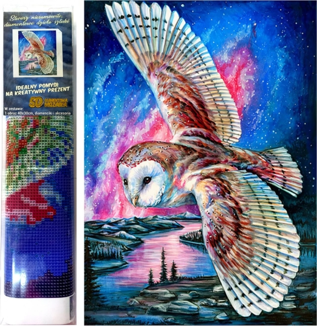 Norimpex Dijamantno slikanje Sovin let 30x40cm