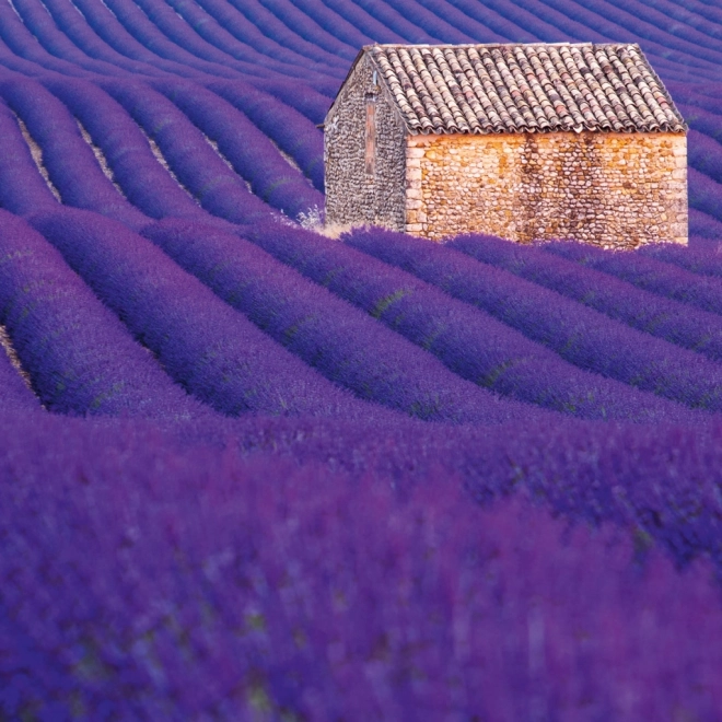 Kalendarska bilježnica Provence 2026