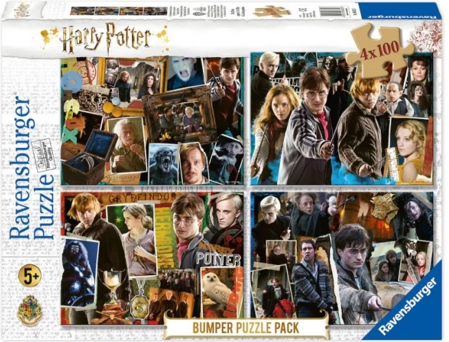 Slagalica 4x100 dijelova Harry Potter