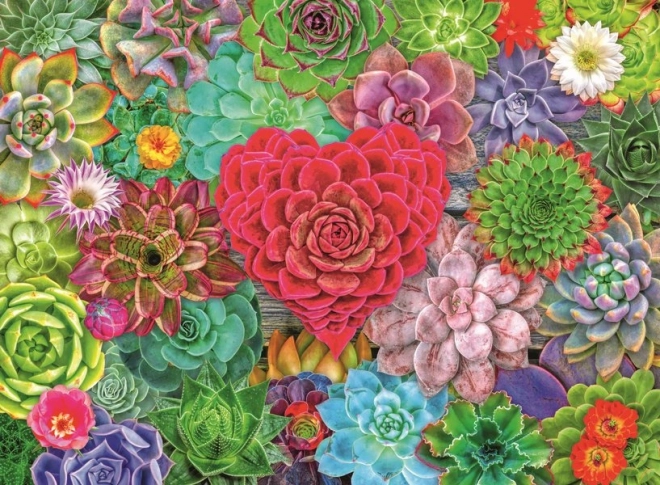Puzzle Sukulentni raj 500 dijelova