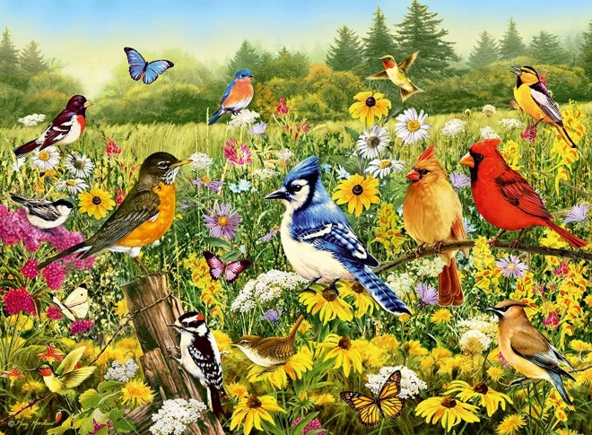 Ravensburger puzzle Ptičja livada 500 dijelova