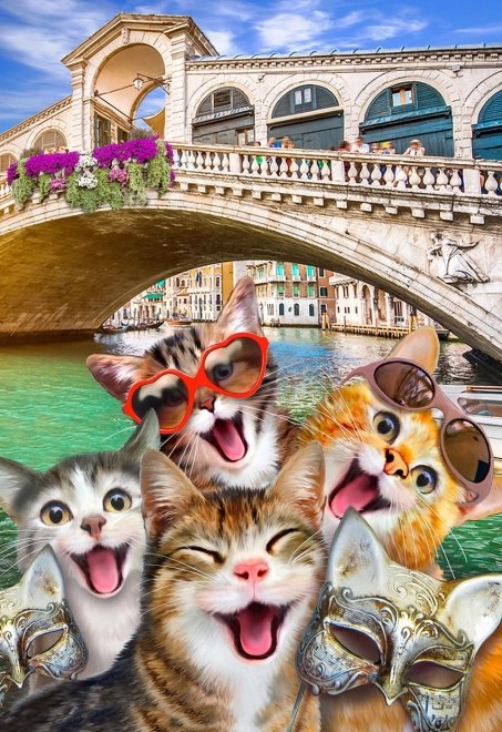 Drvene puzzle Mačići u Veneciji 2u1
