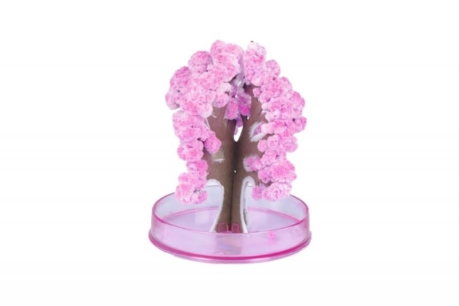 ARTO Čarobna sakura