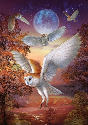 Puzzle Noćne sove 1000 dijelova ART PUZZLE