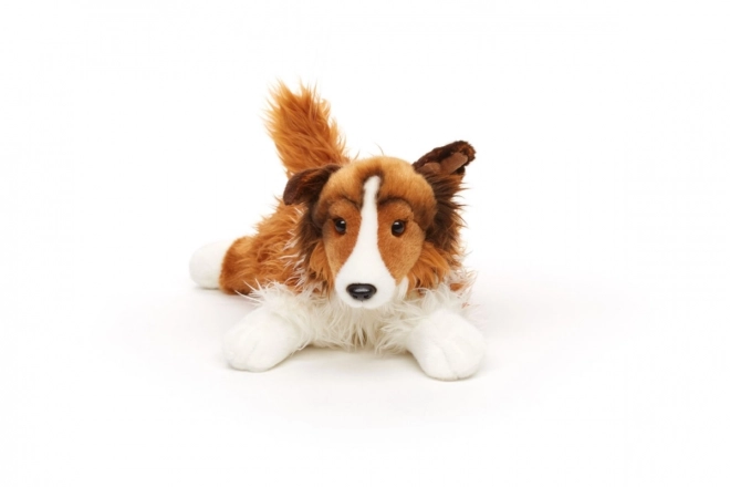 Plišani pas Sheltie 37 cm