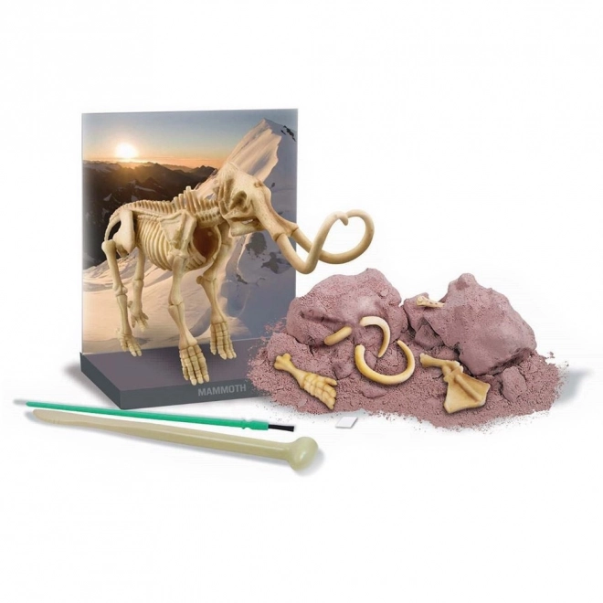Iskopavanje - Mamut