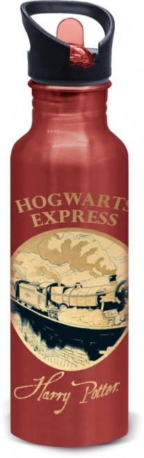 Aluminijska boca Harry Potter - Zlatna Magija