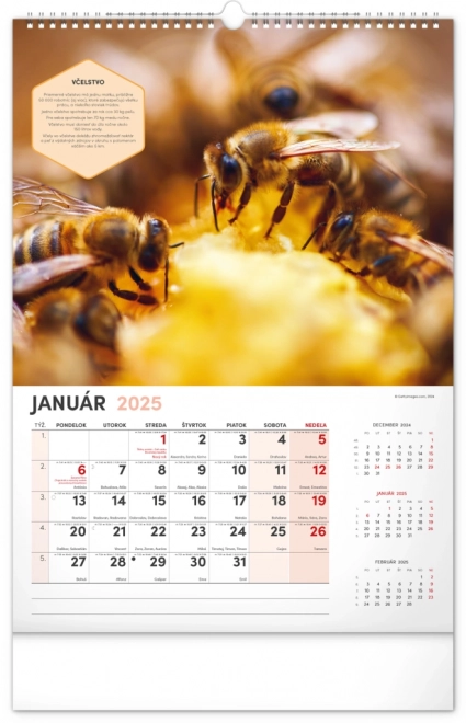 NOTIQUE Zidni Pčelarski kalendar 2025, 33 x 46 cm
