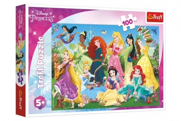 Puzzle Šarmantne princeze/Disney 100 dijelova 41x27,5cm u kutiji 29x19x4cm
