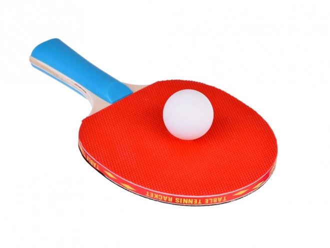 Drvene rekete za stolni tenis s lopticama