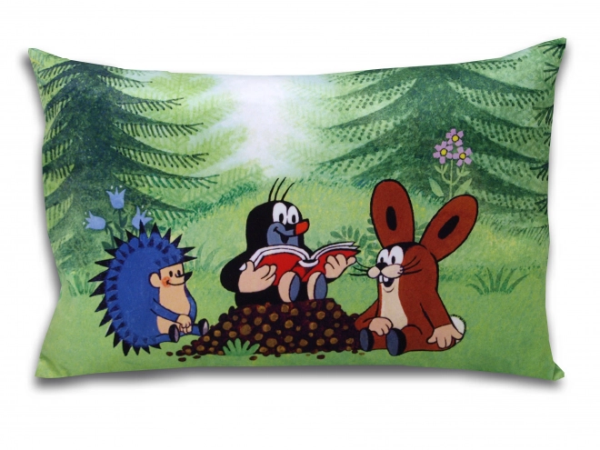 Jastuk Krtica 45x30 čitatelji
