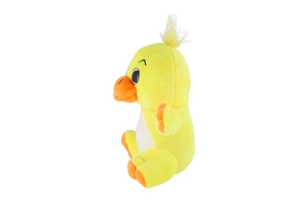 Životinja plišana velike oči 18 cm na kartici