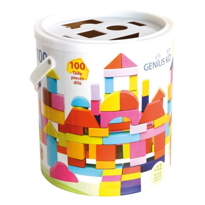 Bino Kocke u kantici 100 kom novih boja