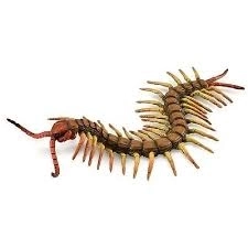 COLLECTA Stolna25