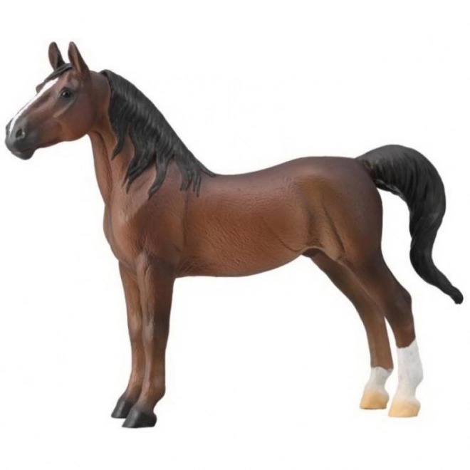 COLLECTA Američki jahaći pastuh