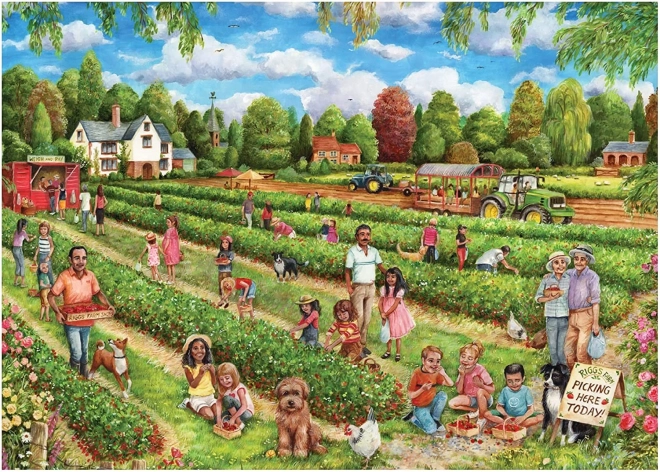Puzzle Berba jagoda 1000 dijelova