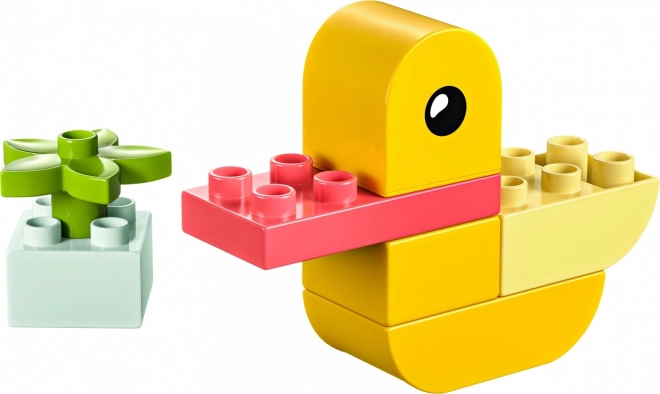 DUPLO Moje prvo pače 4 u 1
