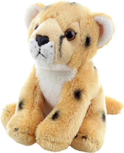 Realistični detalji za razvoj mašte