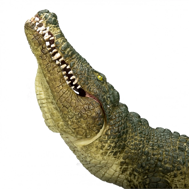 Realistični Krokodil s Pokretnom Čeljusti