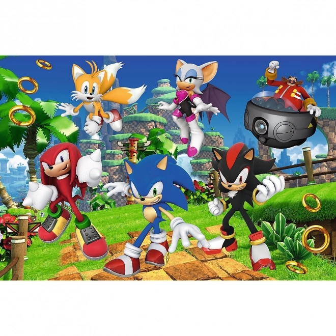 Puzzle Sonic i prijatelji 160 dijelova