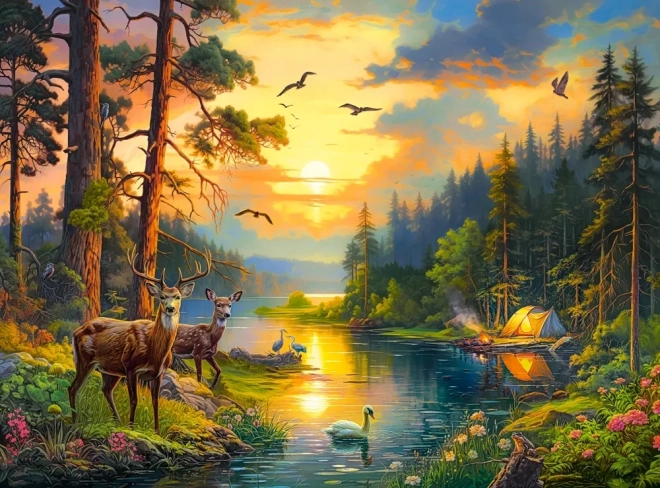 Puzzle 3000 dijelova Zalazak sunca nad šumskom rijekom