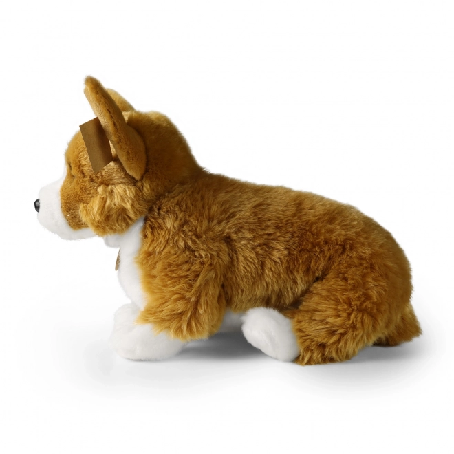 Plišani pas corgi 32 cm od ekoloških materijala