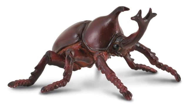COLLECTA Kapucinski nosorog