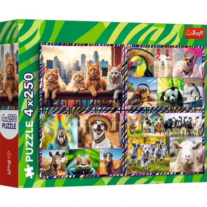 Puzzle 4x250 zabavna životinja