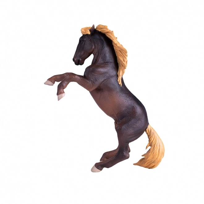 Mojo Pastuh Brumby