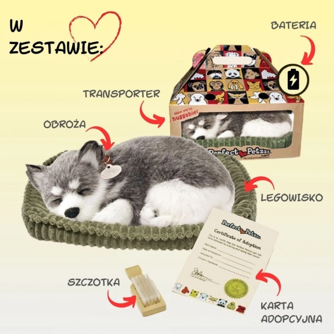 Zadivljujući plišani aljaški haski