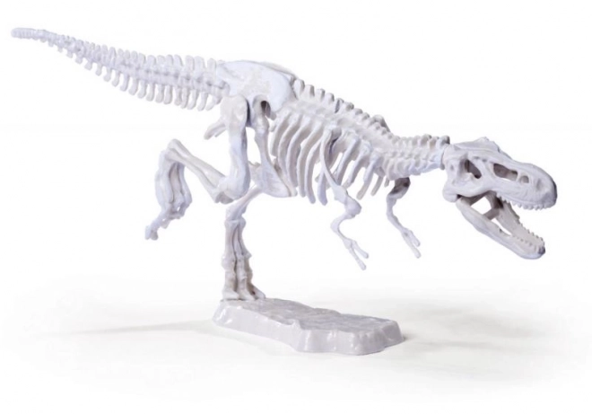 Detaljni modeli dinosaura