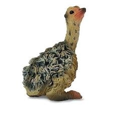 Pernata ptica sjedećeg modela Collecta