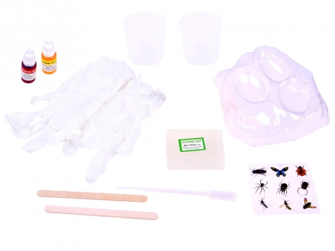Pretpovijesni jantar kreativni set ZA2923