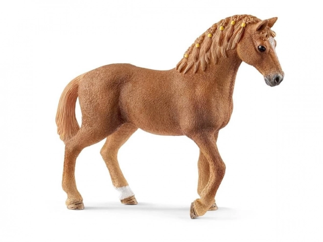 Quarter horse, kobila