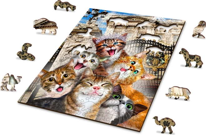Dvostrana puzzle 2u1