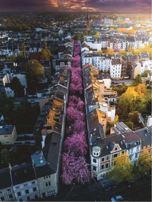 Ravensburger puzzle 1500 dijelova Bonn, Njemačka