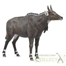 Nilgai figurica COLLECTA