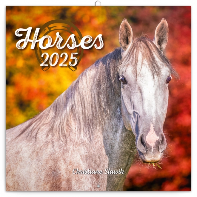 NOTIQUE Kalendar s bilješkama Konji – Christiane Slawik 2025, 30 x 30 cm