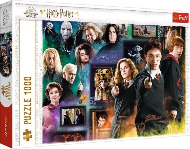 Slagalica HARRY POTTER 1000 dijelova – čarobnjački svijet