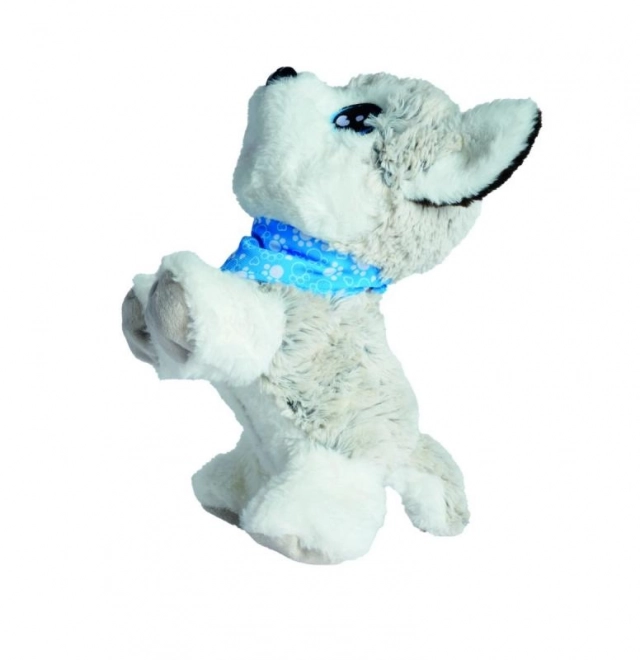 Simba Chi Chi Love interaktivni psić Husky