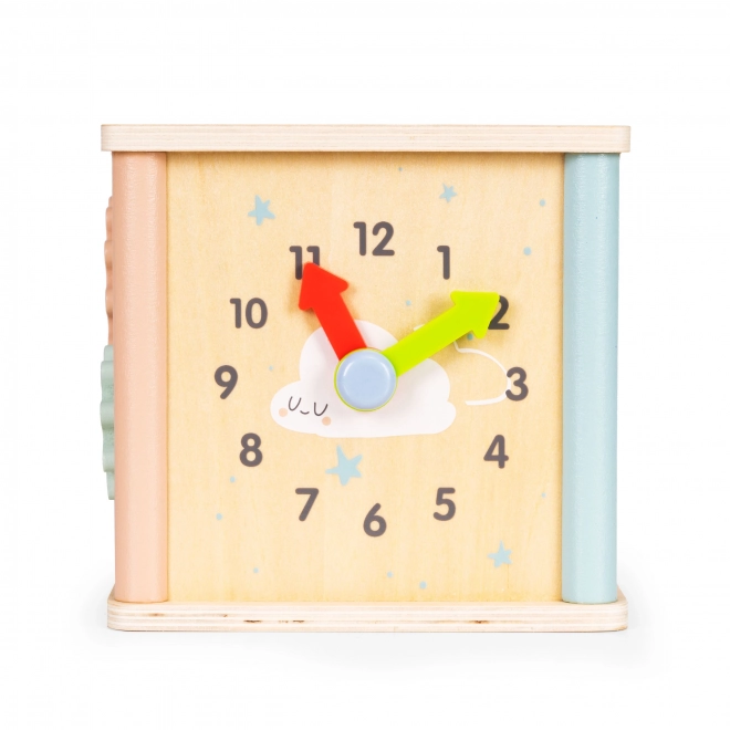 Drvene obrazovne kocke Ecotoys
