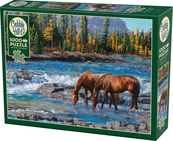 Puzzle Skalnati brod od Cobble Hill - 1000 dijelova