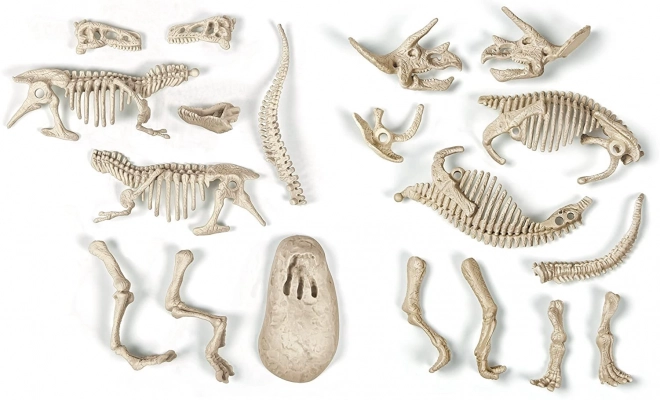 CLEMENTONI Znanost&Igra ArcheoFun: T-Rex + Triceratops
