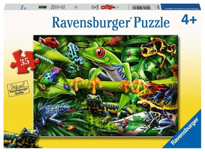 Puzzle Nevjerojatni vodozemci 35 dijelova