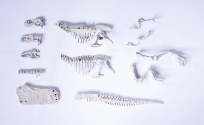 Set za iskopavanje i sastavljanje kostura dinosaura