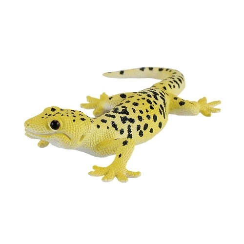 Mojo Gekon Leopard