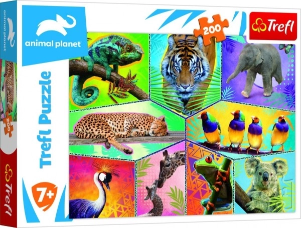 Puzzle Planeta životinja 48x34cm 200 dijelova u kutiji 33x23x4cm